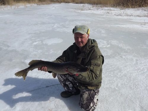 Зимняя рыбалка в Саратовской области с Сергеем Кудиновым