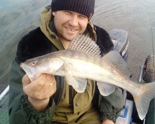 рыбалка в новоникулино ульяновская область