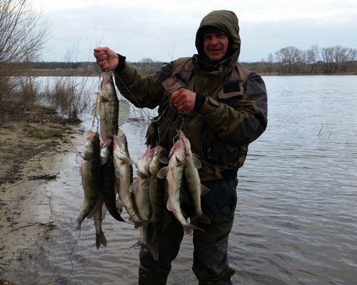 Рыбалка на Волго-Ахтубинской пойме с Вячеславом Половниковым