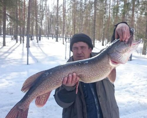 Рыбалка в Нижегородской области с Вадимом Марининым