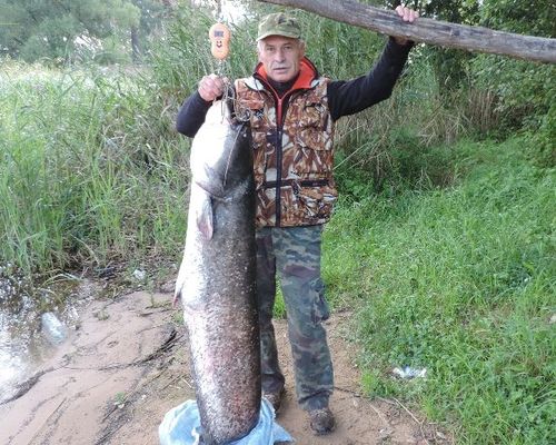 Рыбалка на Иваньковском водохранилище с Александром Кротовым