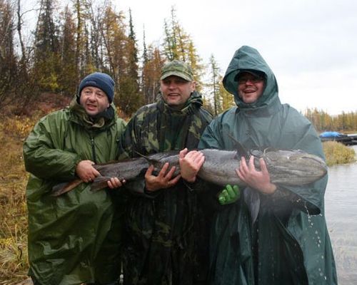 Рыбалка в Центральной Сибири на тайменя