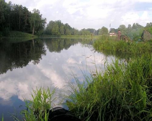 Платный пруд за Новосафоново