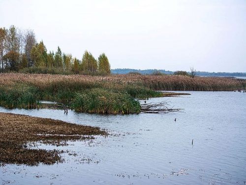 Мирнинское озеро