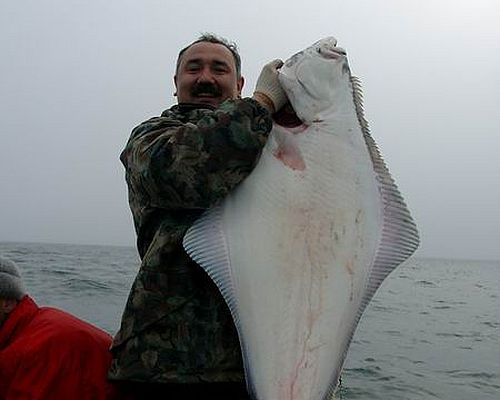 Морская рыбалка на палтуса