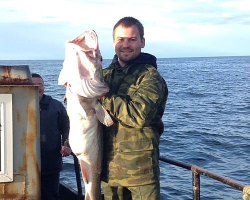 Морская рыбалка на катере в Мурманской области с Антоном