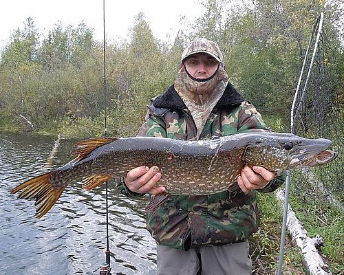 Рыболовный тур по рекам Красноярского края
