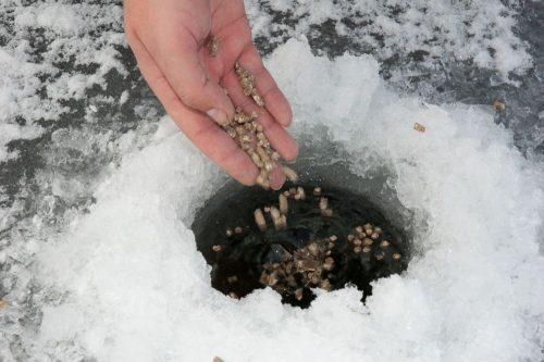 Ловля карпа в январе со льда
