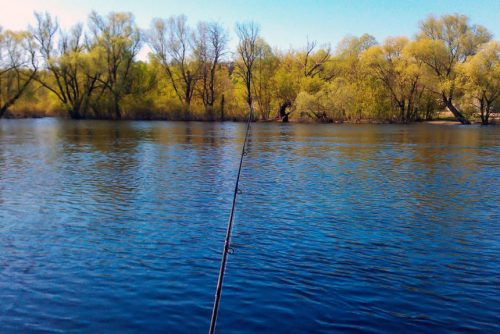 Рыбалка во Владимирской области