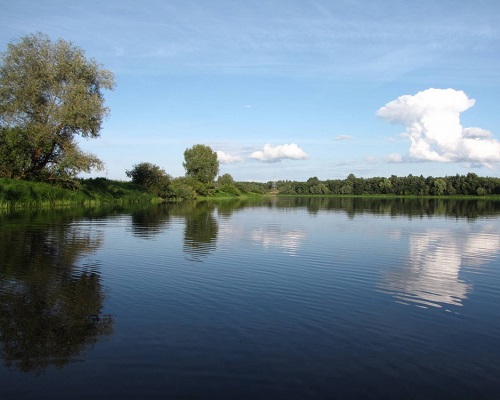 лучшие озера для рыбалки в псковской области