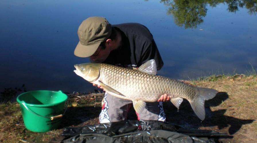 Амур рыба на что ловить Ловля белого амура в апреле - читайте на Сatcher.fish